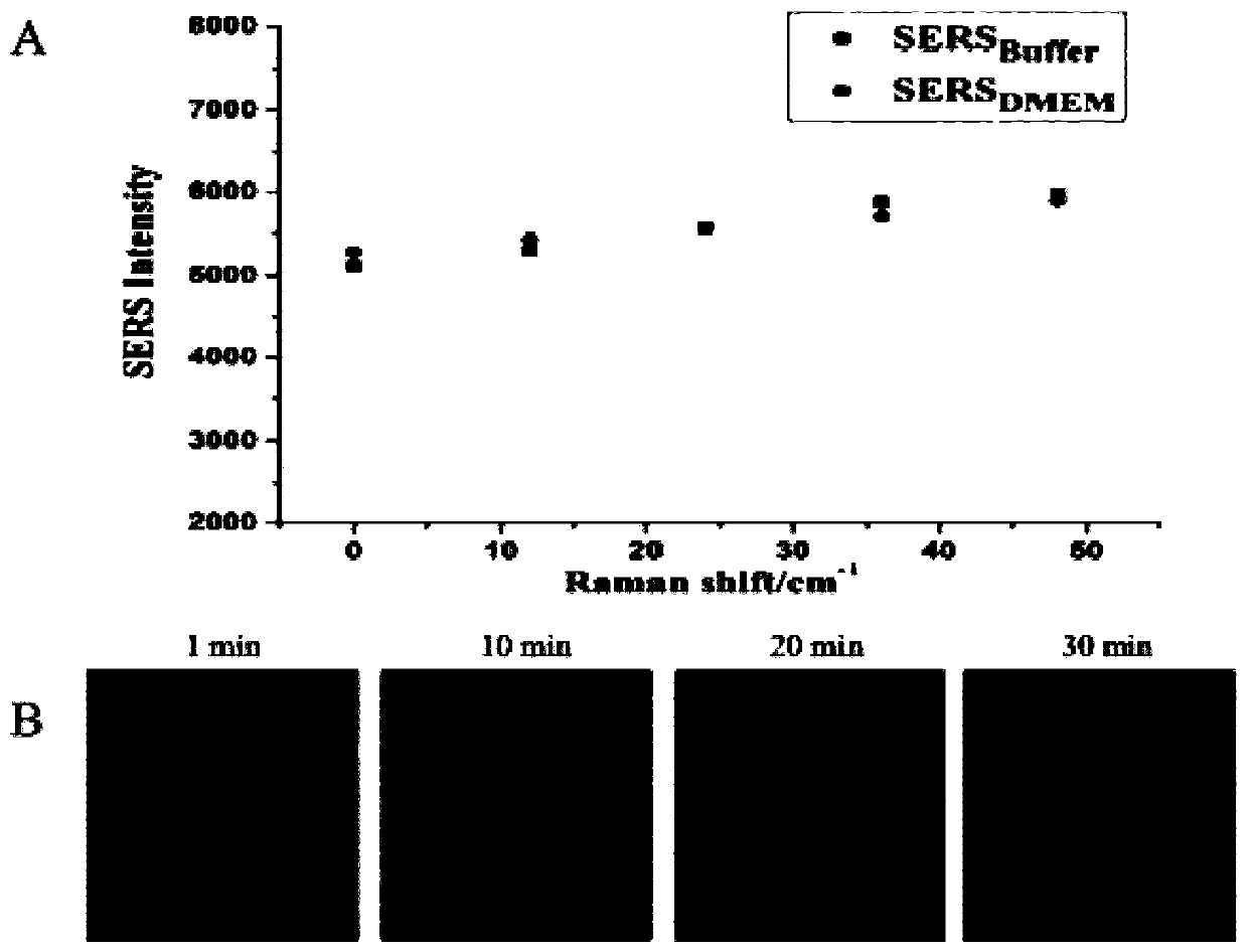 SERS-fluorescent dual mode probe based on DNA chain replacement, and preparation method and application of SERS-fluorescent dual mode probe