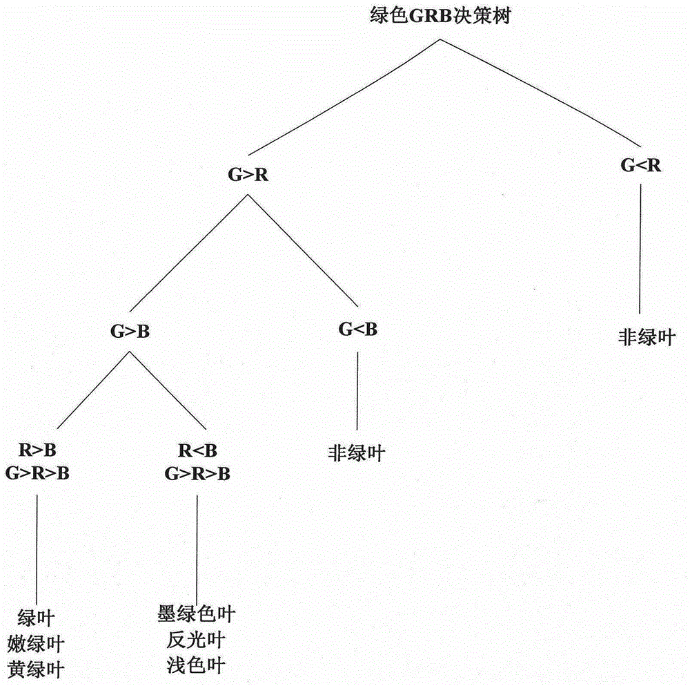 Digital method for rapidly evaluating loss severity of alfalfa diseases and insects