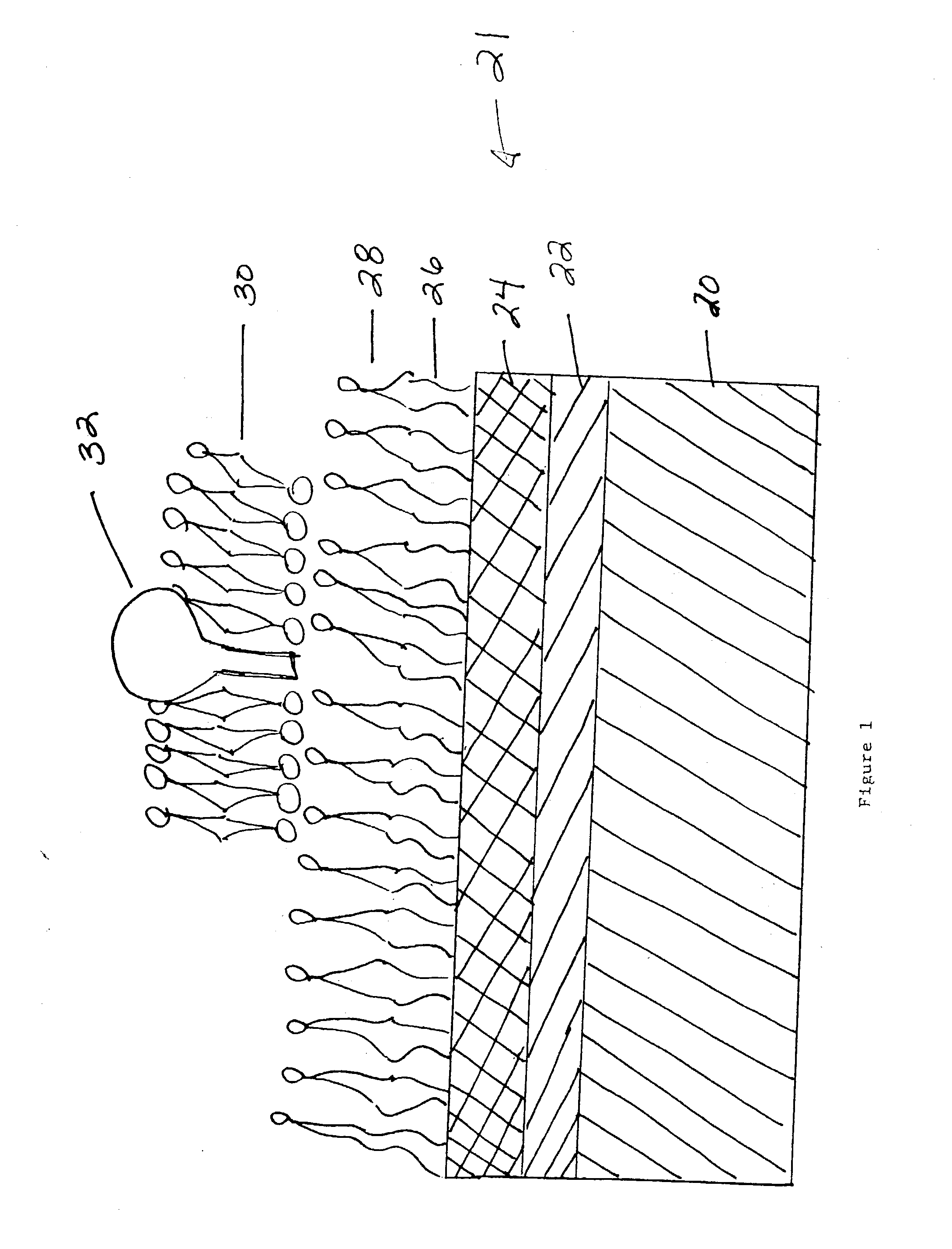 Methods for studying ion channels incorporated onto a solid-supported membrane