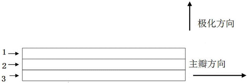 Vertically polarized antenna