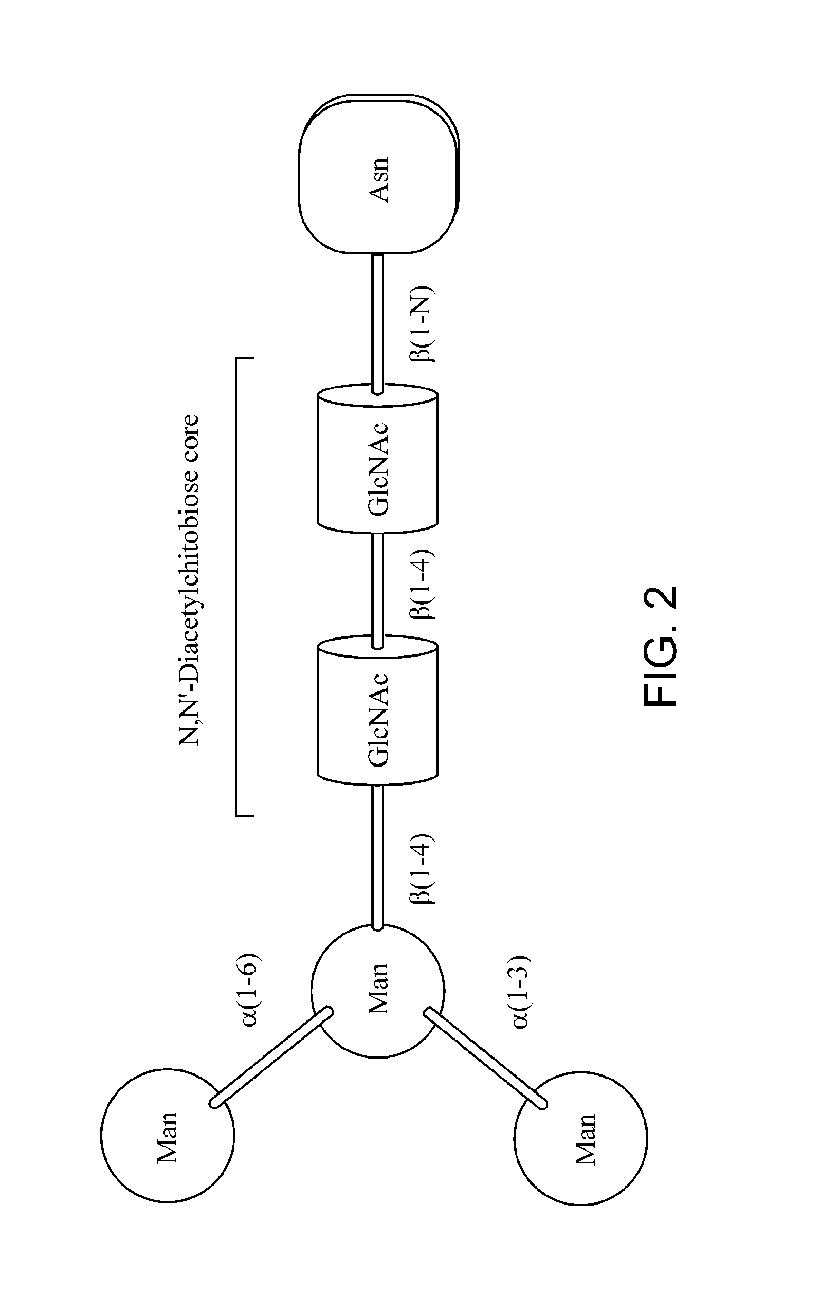 Multi-dimensional chromatographic methods for separating n-glycans