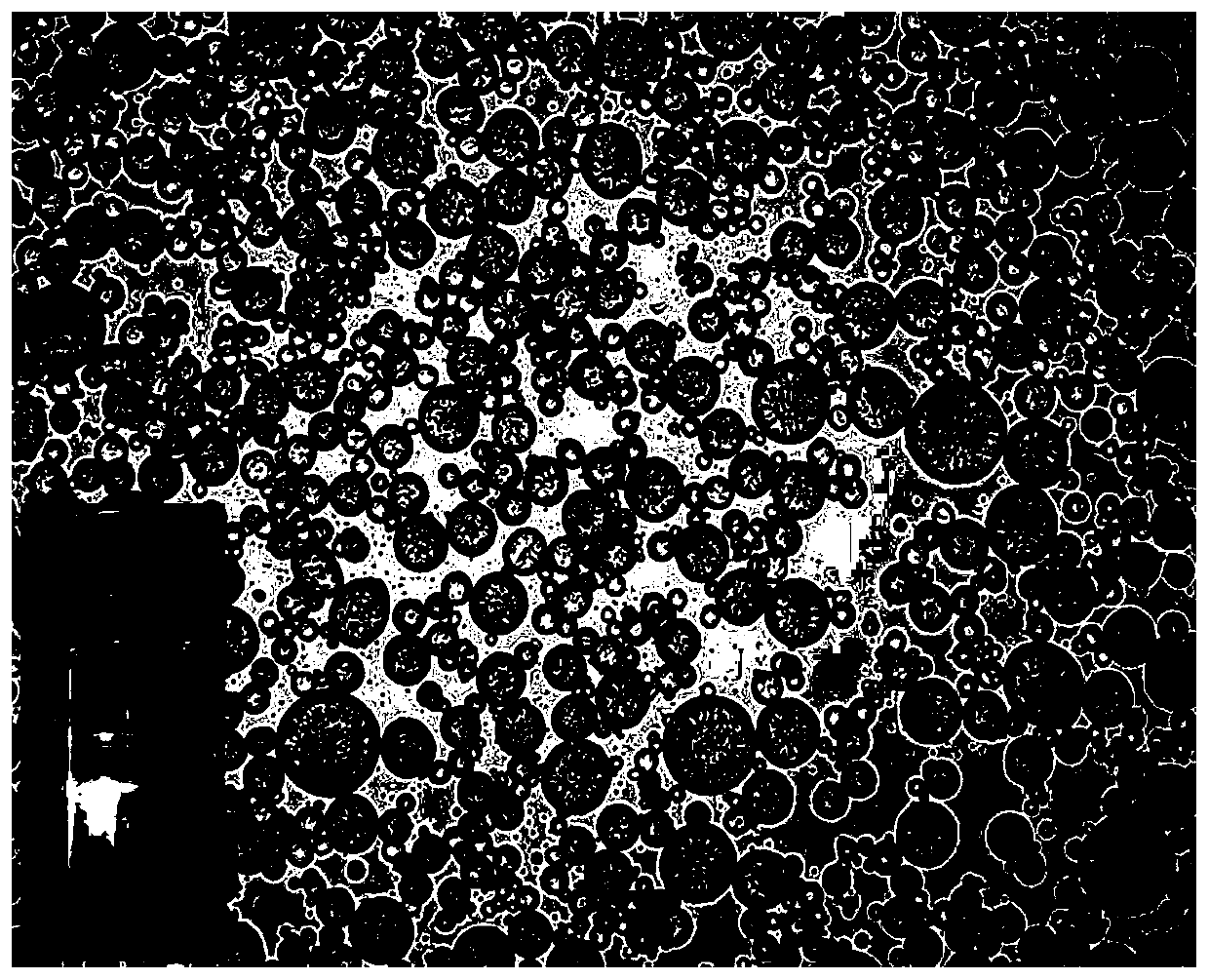 Preparation method of stable water-in-oil type Pickering emulsion based on phytosterol