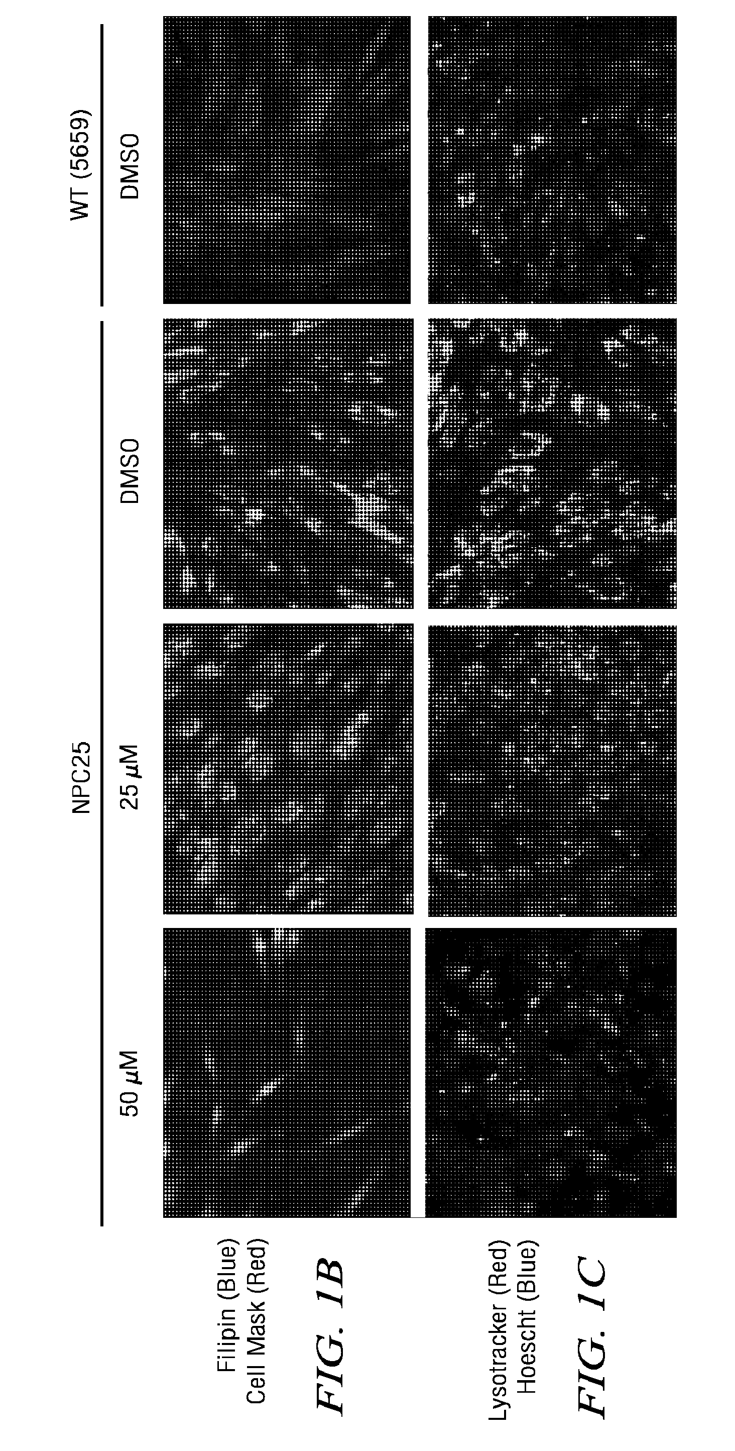 Use of delta tocopherol for the treatment of lysosomal storage disorders