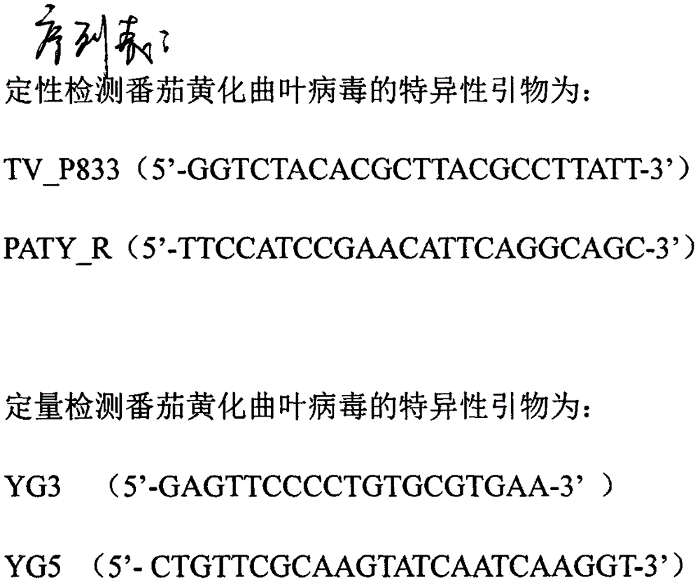 Method for removing plant viruses in tomato plants by gossypol acetate