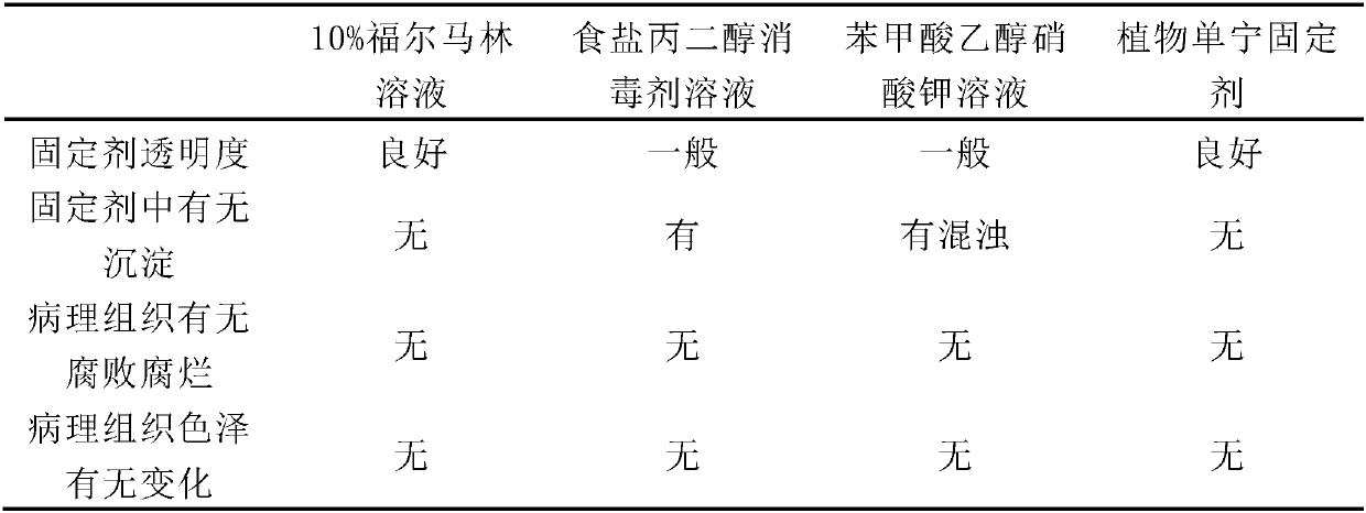 Non-formaldehyde environment-friendly pathological tissue fixing agent