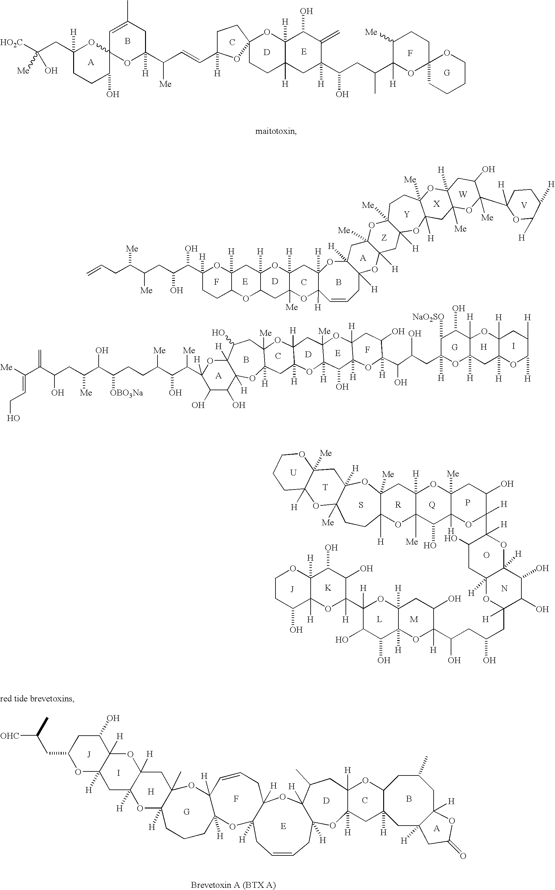 Anti-ciguatoxin monoclonal antibody