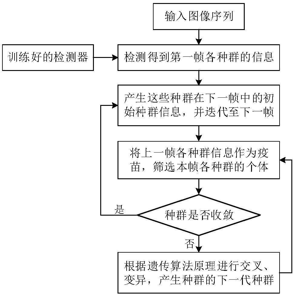 Drowning early warning method based on optical vision analysis