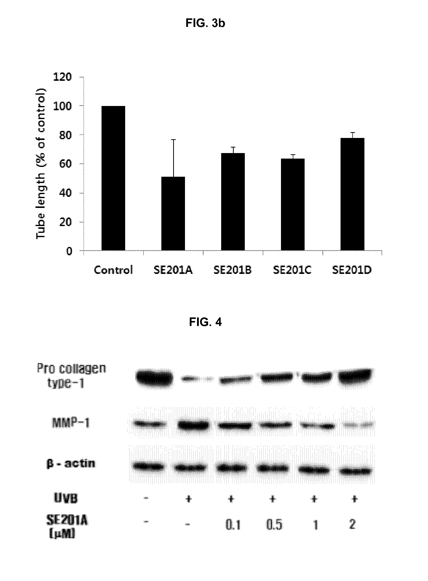 Peptides having NF-κB inhibitory activity, or composition comprising same