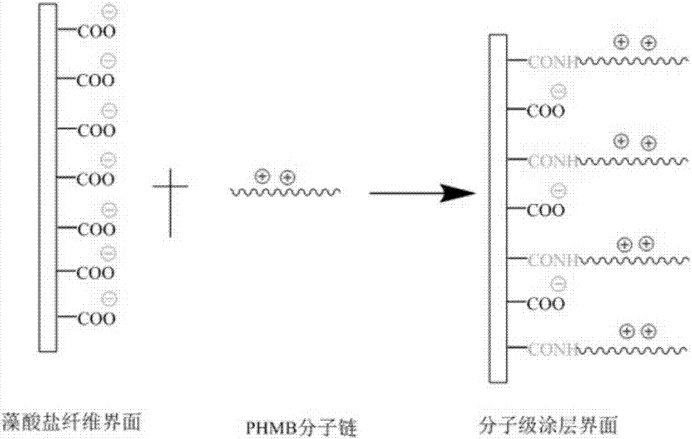 Antimicrobial alginate fiber as well as preparation method and application of antibacterial alginate fiber dressing