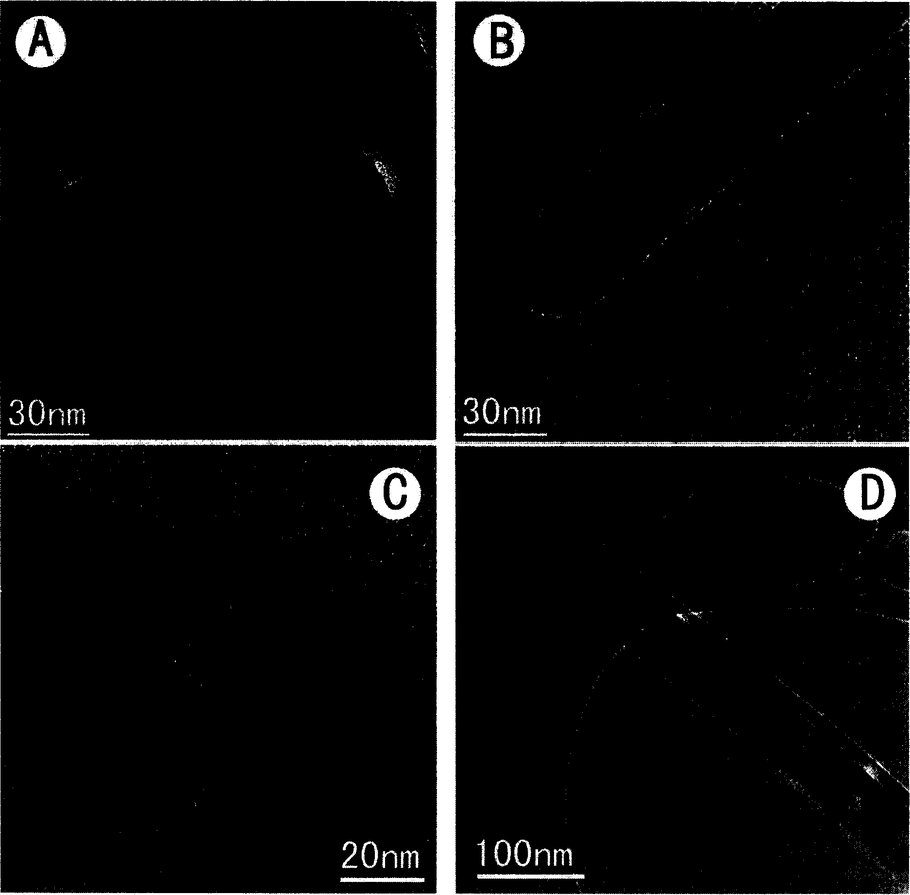 Attapulgite-argentum nanometer composite antibiotic material and preparation method thereof