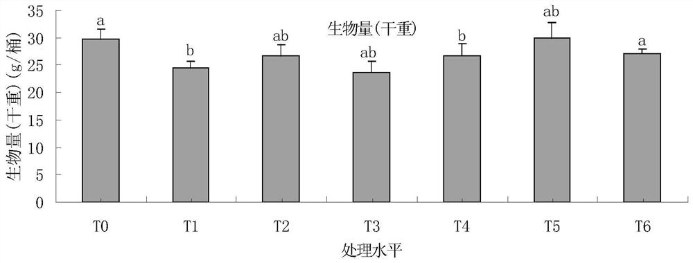 A method for remediating zinc-polluted water bodies and wetlands by using Aster diaphylla