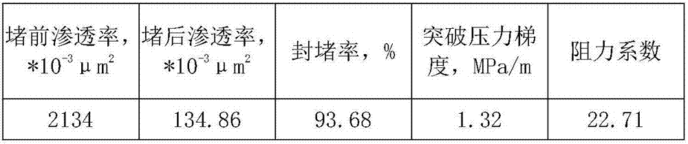 Double-slug compound profile control agent for fractured reservoir and use method of profile control agent