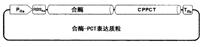 Copolymer comprising 4-hydroxybutyrate unit and lactate unit and its manufacturing method