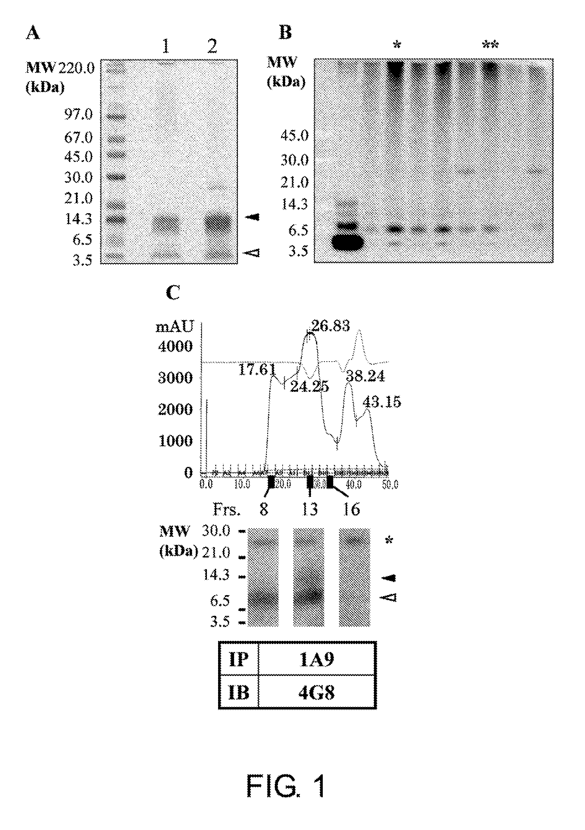 Antibodies that specifically bind to Aβ oligomers and uses thereof