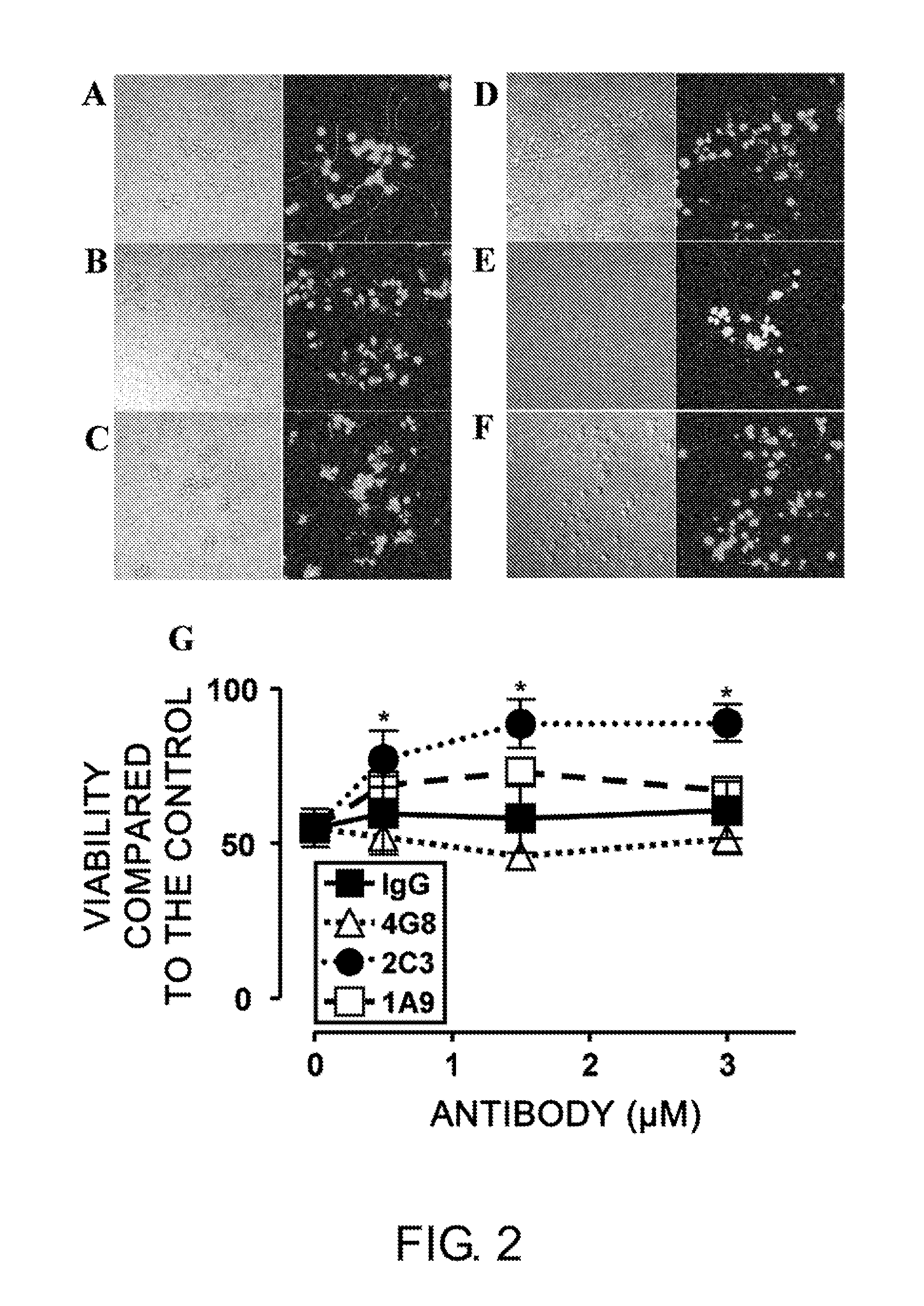 Antibodies that specifically bind to Aβ oligomers and uses thereof