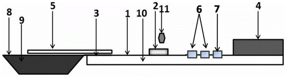 Detection kit and application thereof