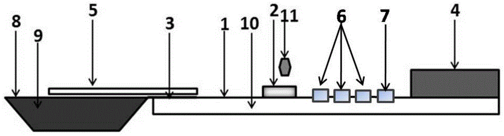 Detection kit and application thereof