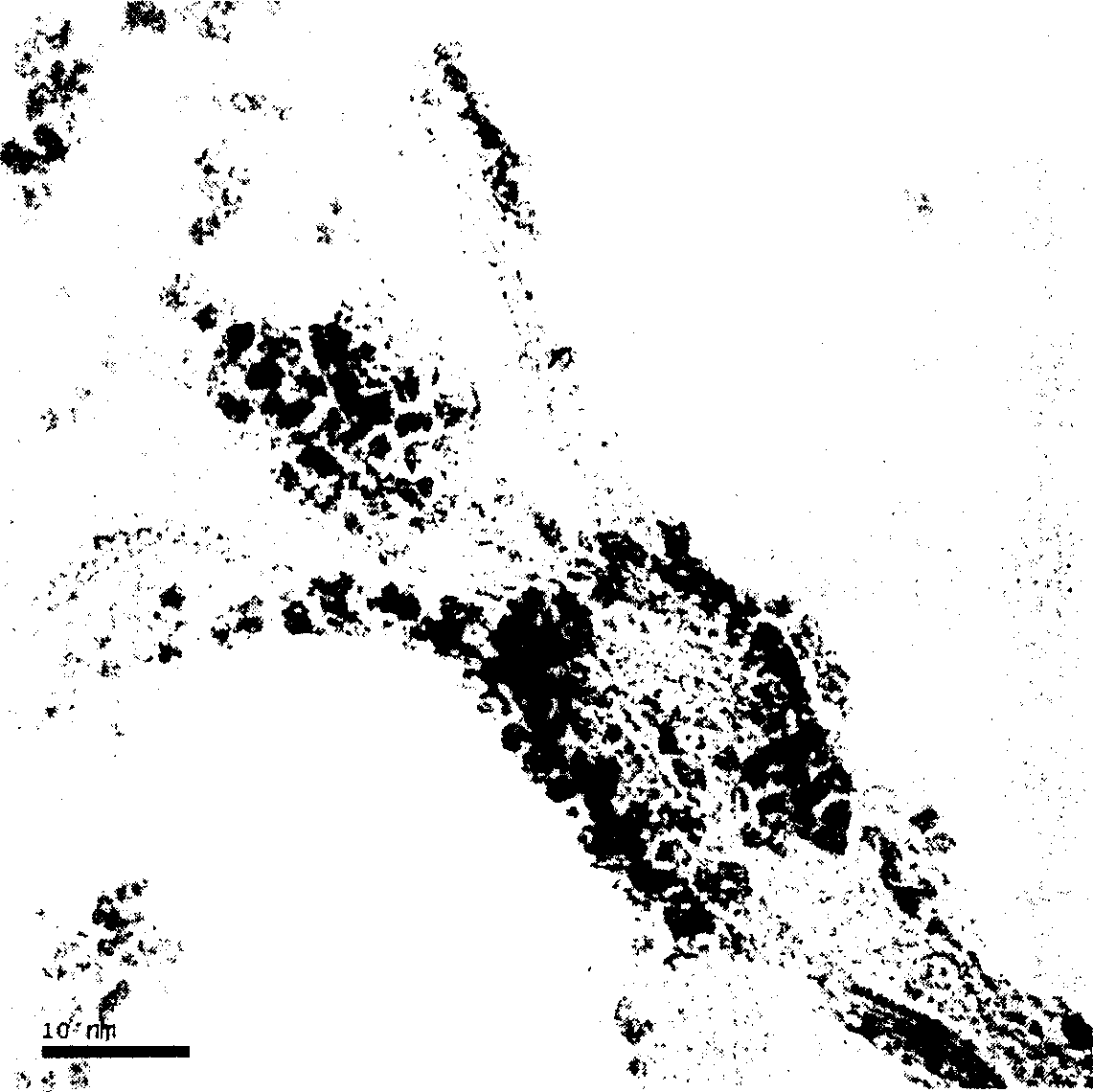 Carbon-carried platinum-based catalyst for fuel cell and its preparation method