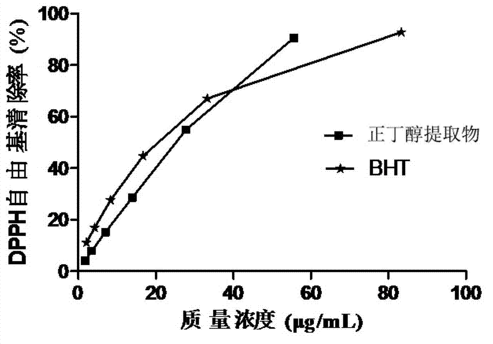 Phlomis maximowiczii extract, as well as extraction method and application thereof