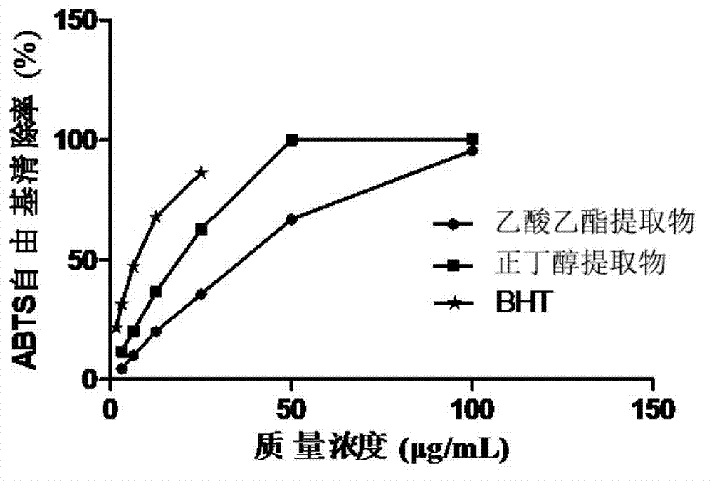 Phlomis maximowiczii extract, as well as extraction method and application thereof