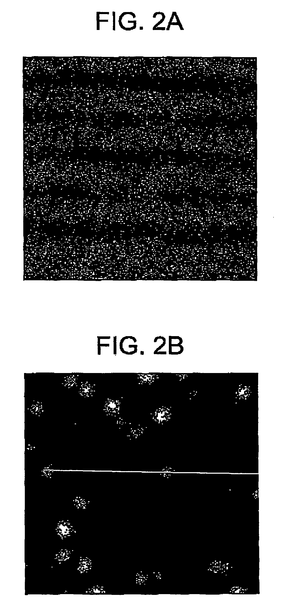 Ceramic electronic device and the production method