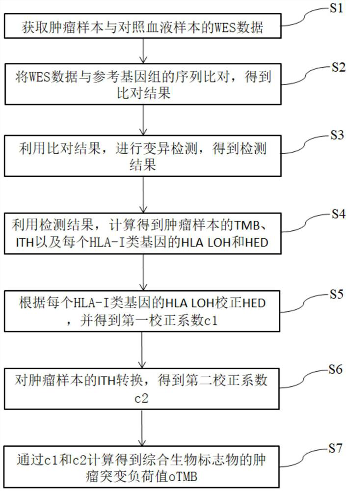 Biomarker detection method and system for predicting tumor immune treatment effect