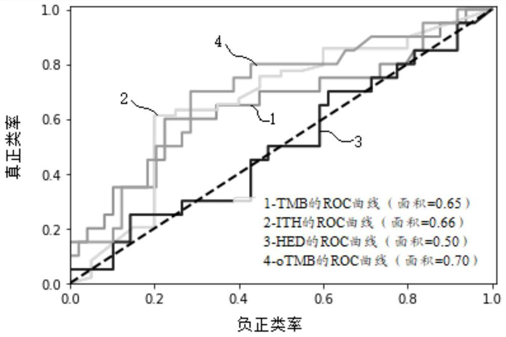 Biomarker detection method and system for predicting tumor immune treatment effect