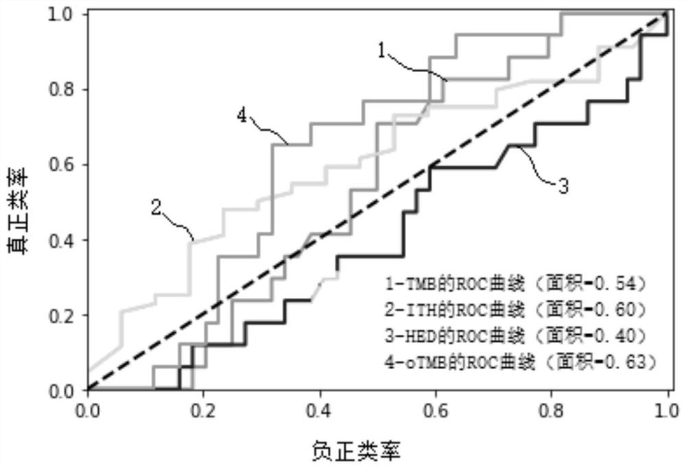 Biomarker detection method and system for predicting tumor immune treatment effect