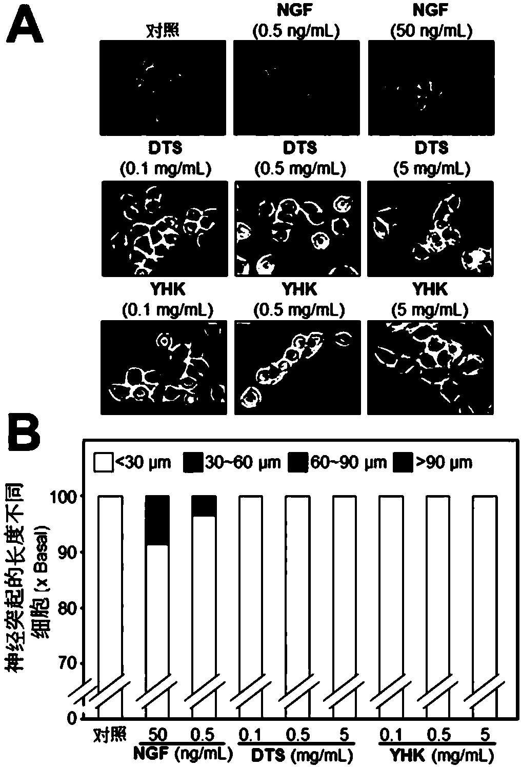 Crude drug composition used for preventing or treating dementia or neurodegenerative diseases