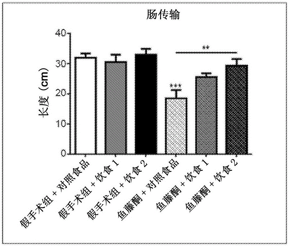 New composition for preventing gastrointestinal disorders