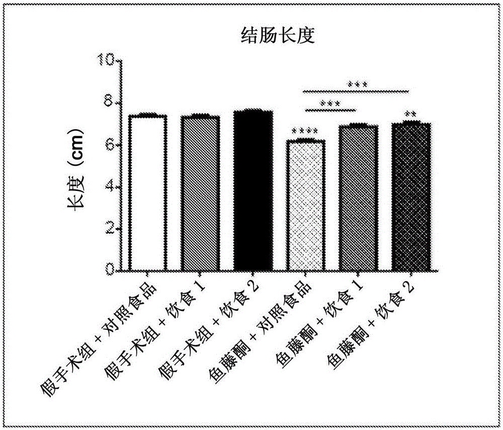 New composition for preventing gastrointestinal disorders