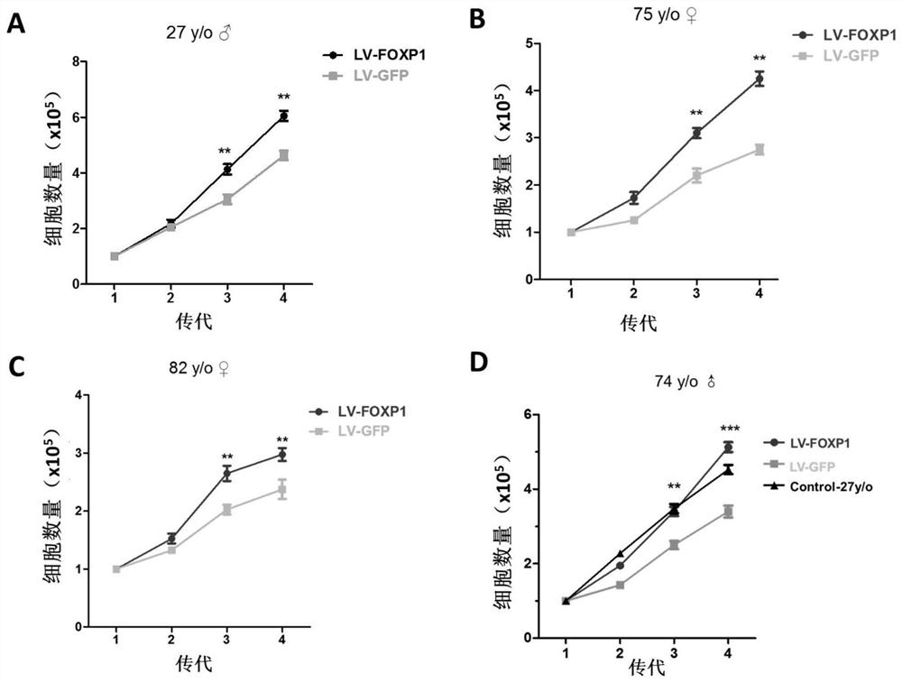 Method for delaying aging caused by in vitro culture of human bone marrow mesenchymal stem cells