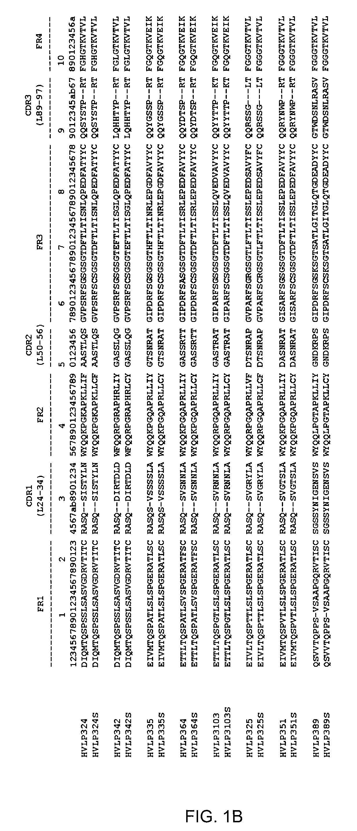 Engineering of immunoglobulin domains