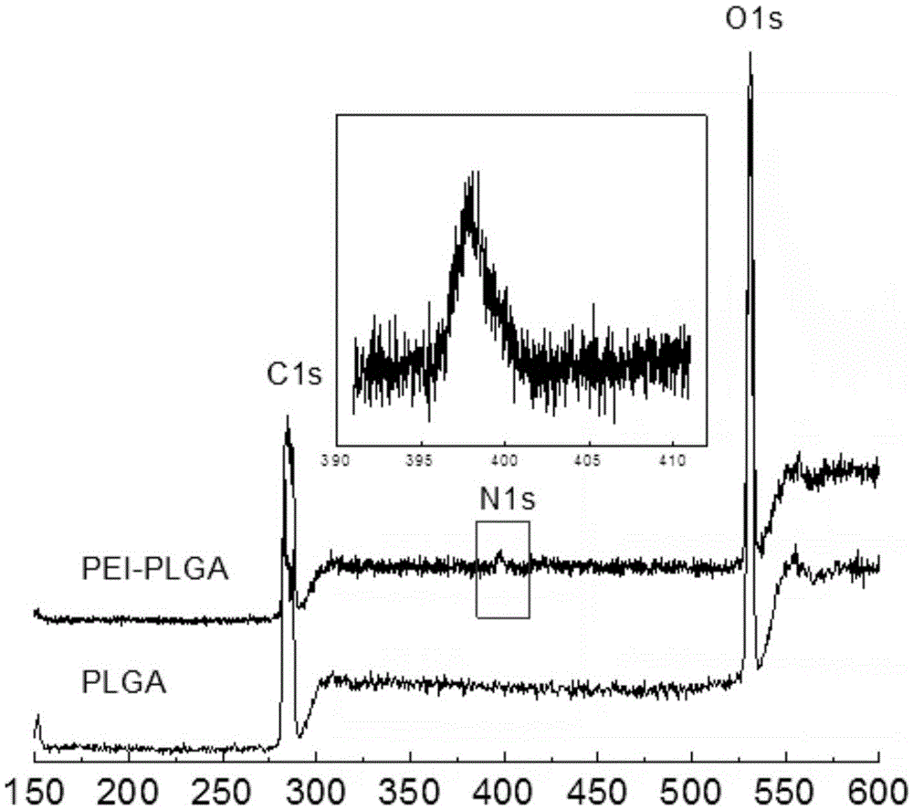 Amphipathic high-molecular polymer, and preparation method and application thereof