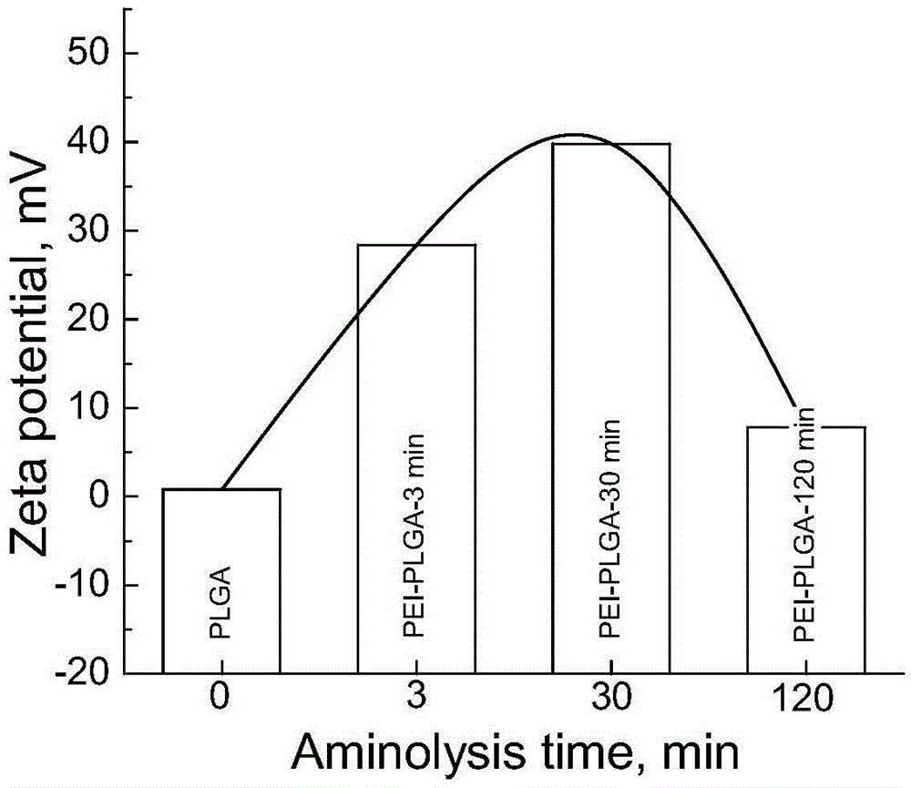 Amphipathic high-molecular polymer, and preparation method and application thereof