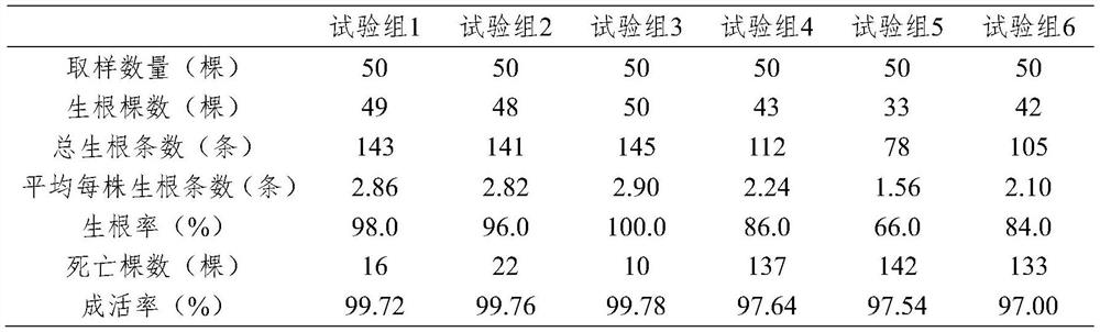 Base fertilizer for pepper transplanting and preparation method thereof