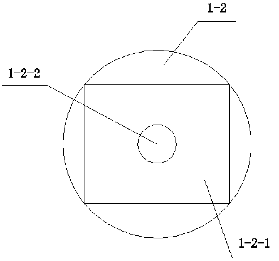 Anti-oxidation U-shaped surface enhancement Raman base coating device and method for monitoring vegetable pesticide residues