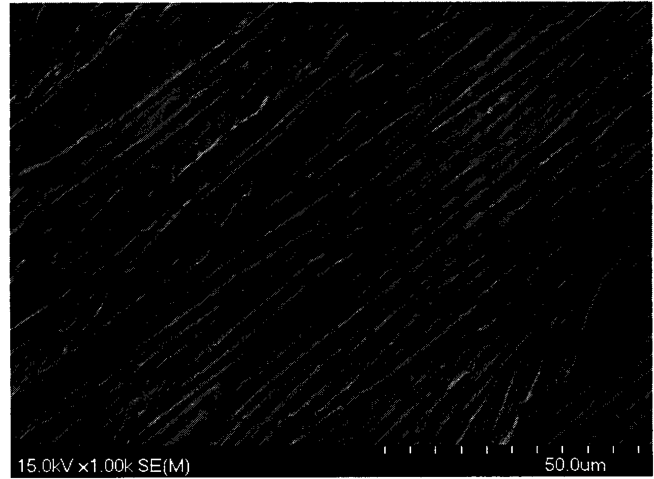 Method for preparing conductive polymer composite with one-dimensional oriented porous structure