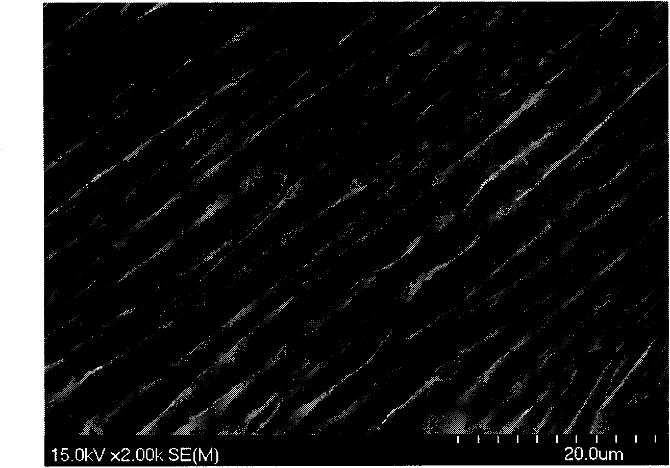 Method for preparing conductive polymer composite with one-dimensional oriented porous structure