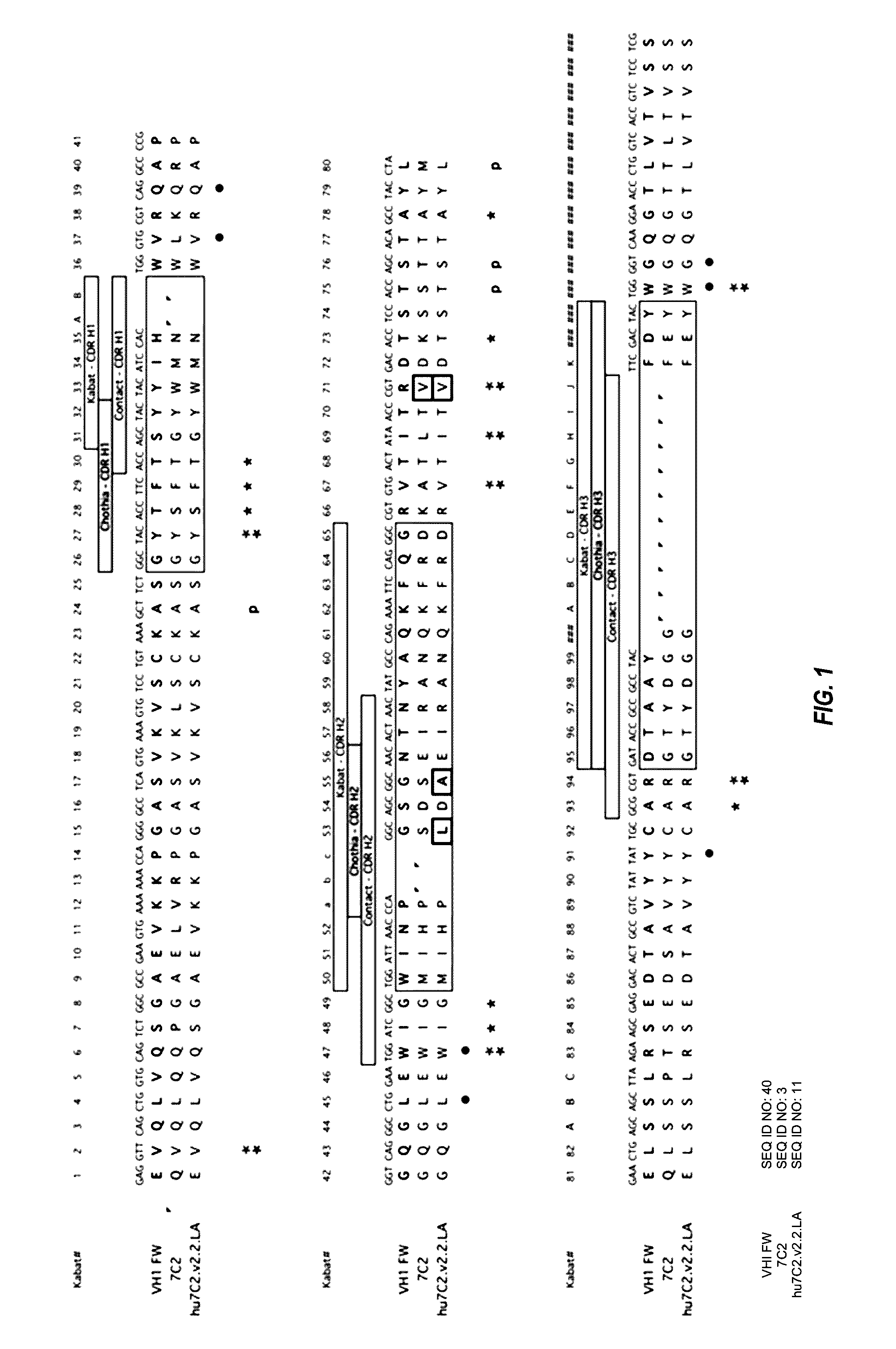 Anti-HER2 antibodies and immunoconjugates