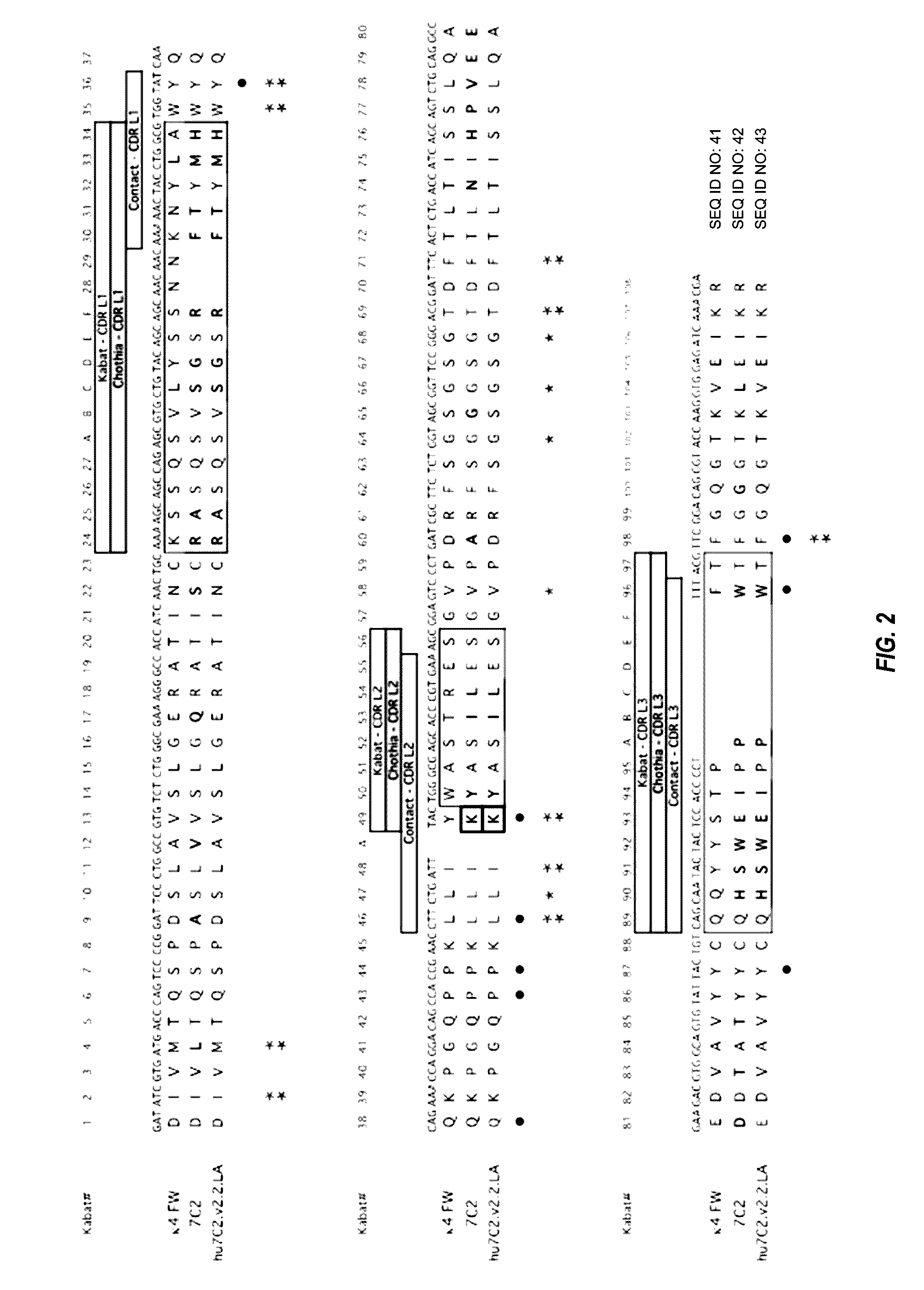 Anti-HER2 antibodies and immunoconjugates