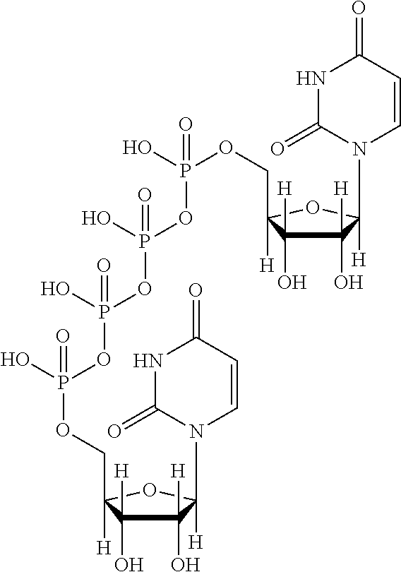 Ophthalmic solution comprising diquafosol