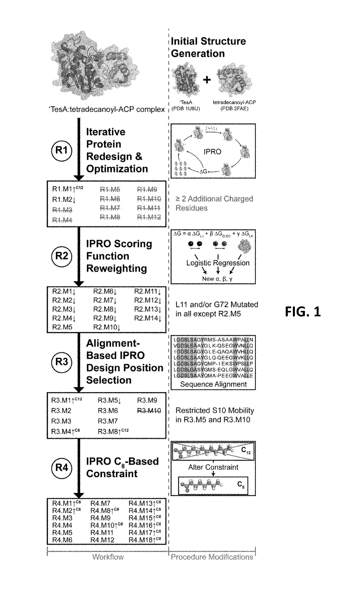 Gene construct encoding mutant thioesterase, mutant thioesterase encoded thereby, transformed host cell containing the gene construct, and method of using them to produce medium-chain fatty acids