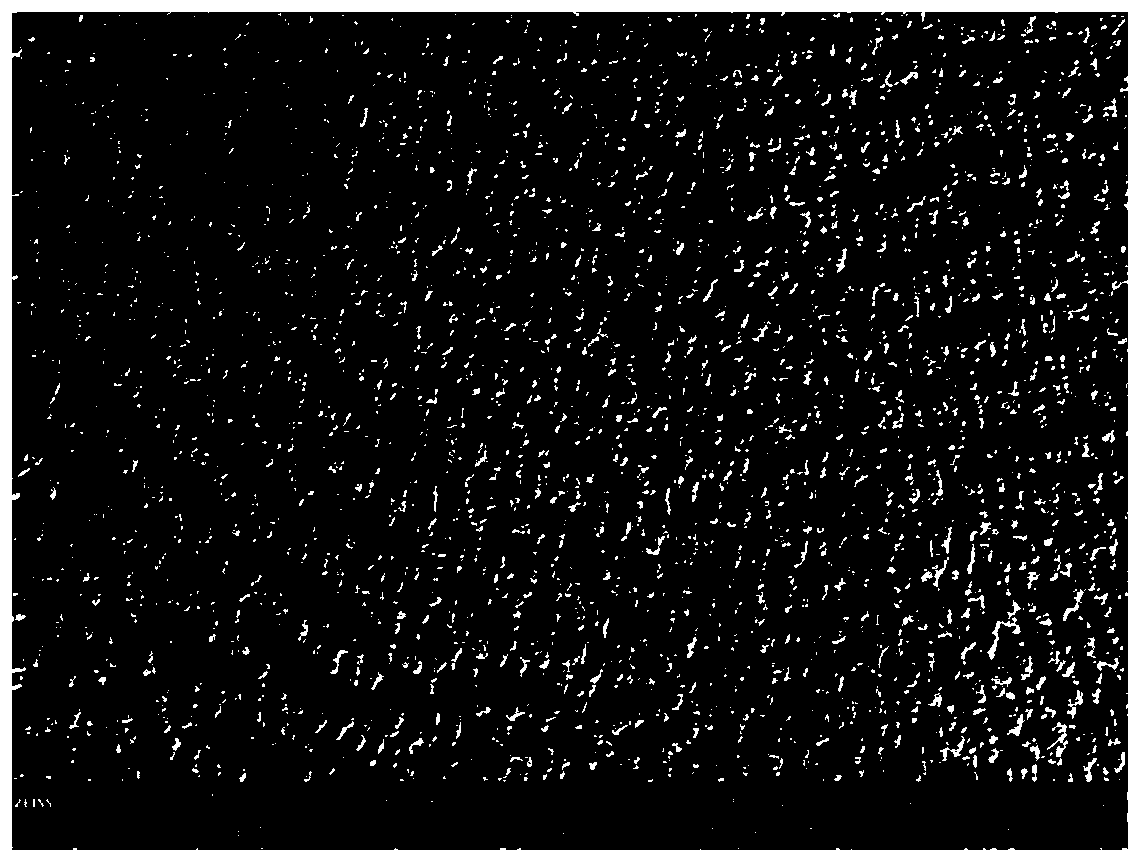 High-chromium nickel-based high-temperature alloy and preparation method and application thereof