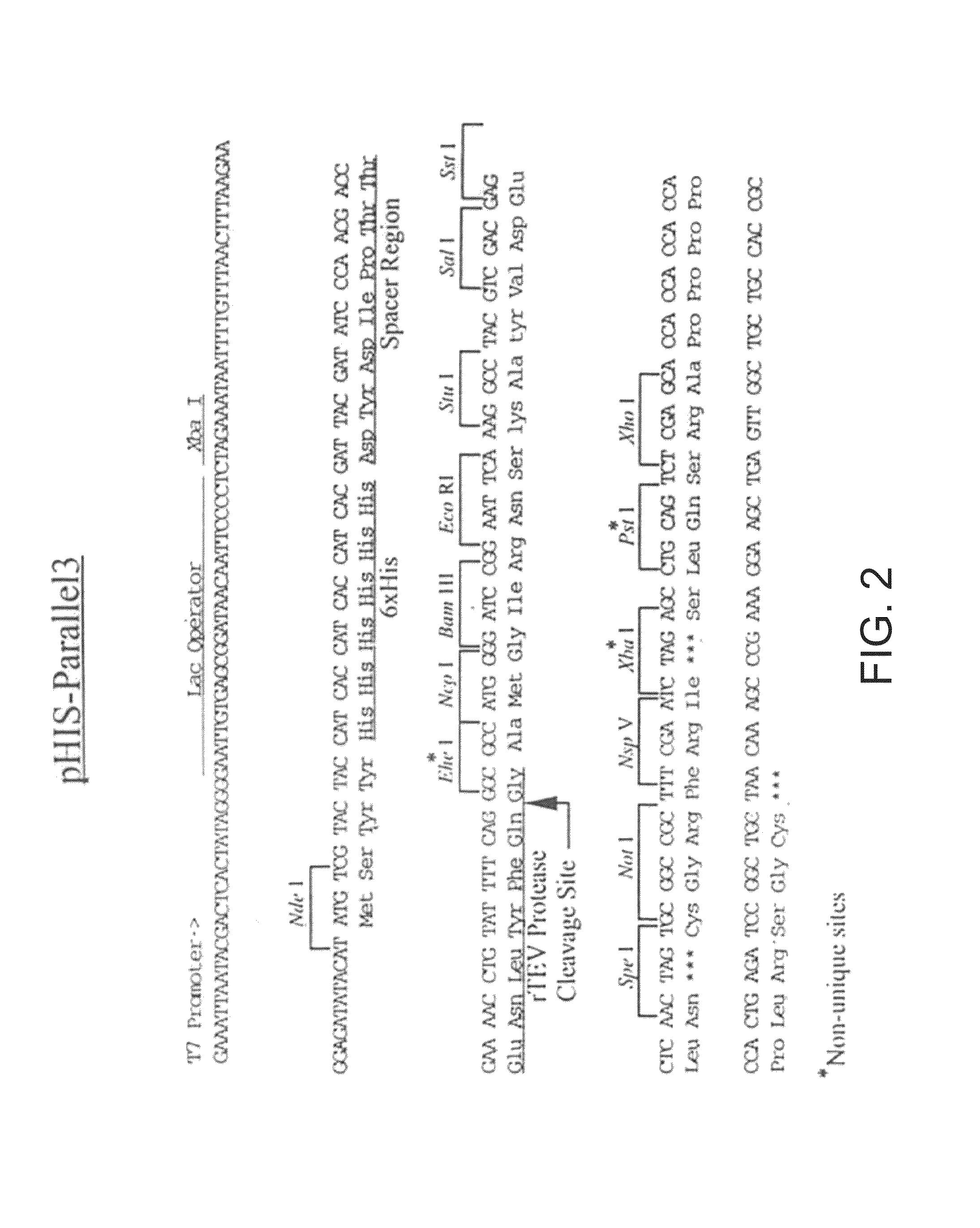 Compositions comprising fibrous polypeptides and polysaccharides