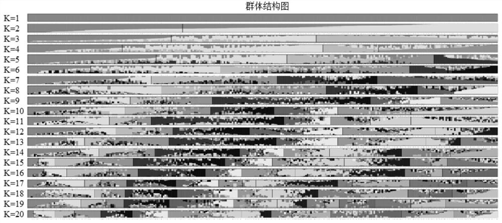 SNP markers, intervals, primers and applications related to soybean seed oil content