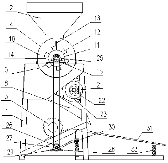 Garlic sectioning machine