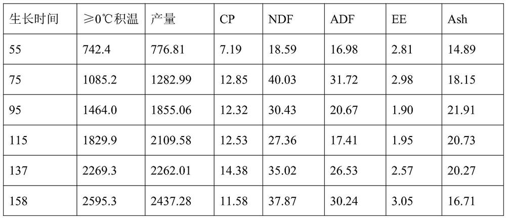 Method for predicting yield and quality of chicory