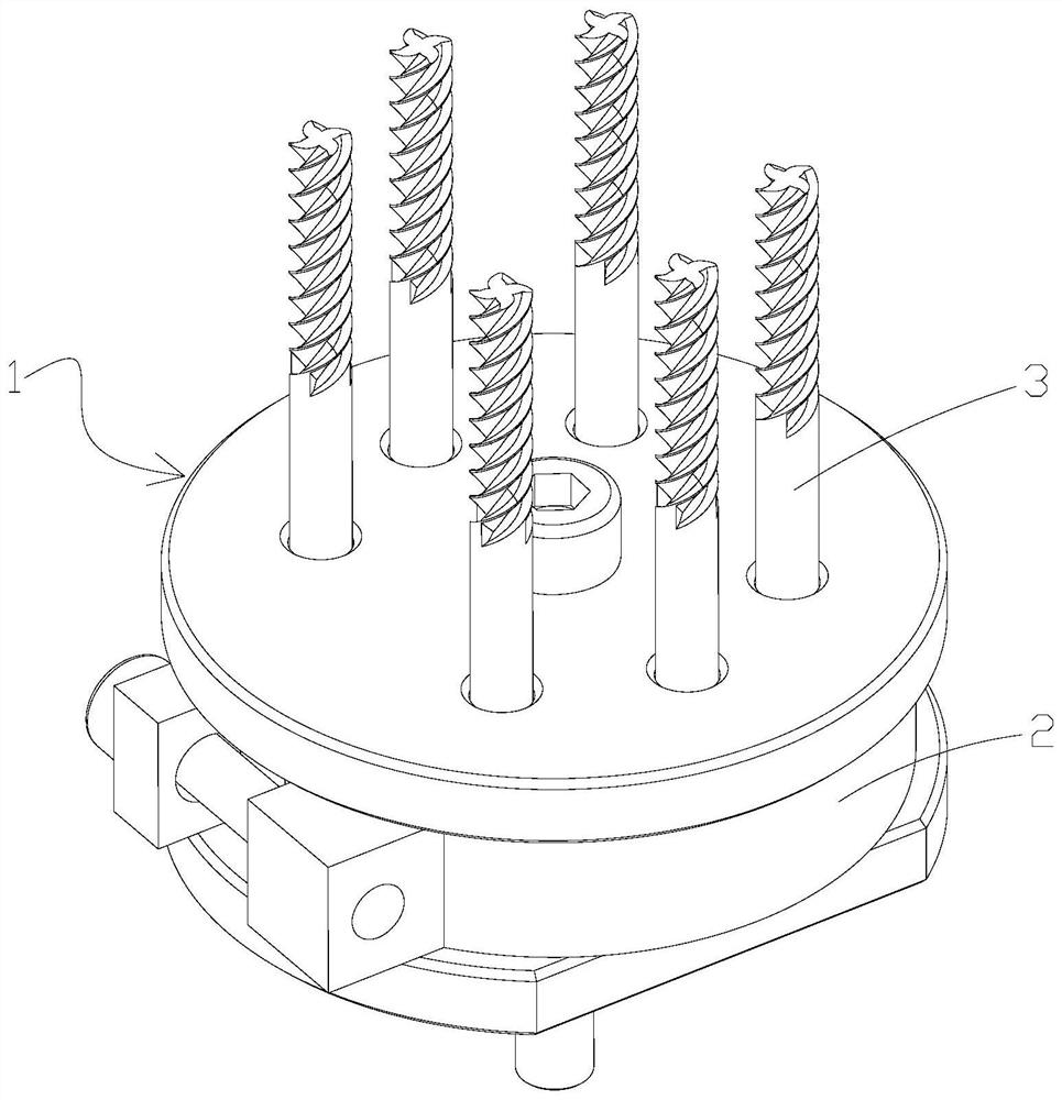 Clamp for fixing drill bits