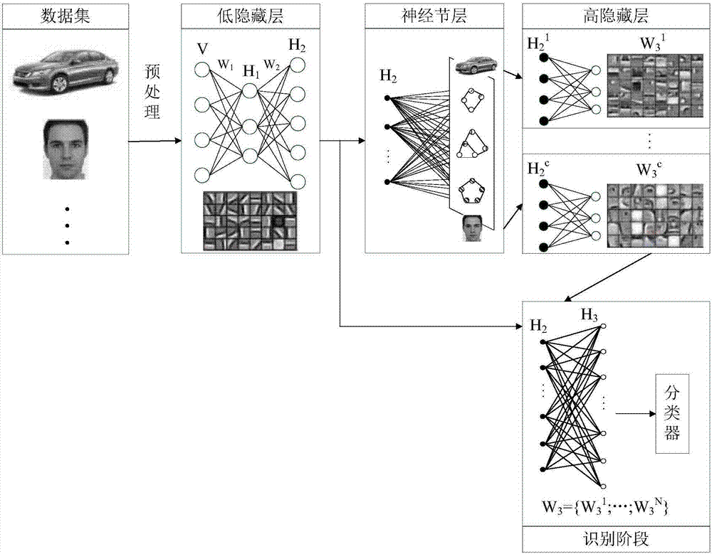 Ganglion differentiation-based incremental target identification system